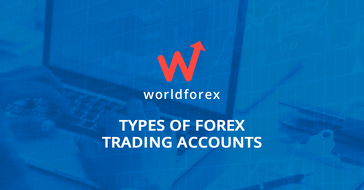 Cent forex brokers
